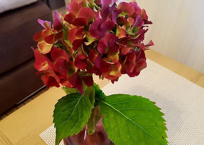 アパート Complex